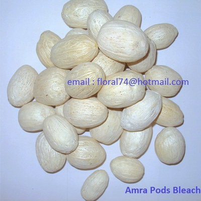 Amra Pods Bleach - Bulk Dried Flowers Potpourri Ingredients
