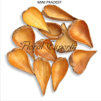 Lagre Pradeep Natural