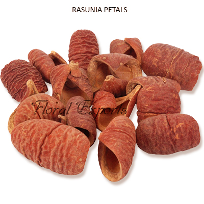 Rasunia Patels Natural-Dried Potpourri Botanicals