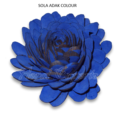 Sola Chip Dahlia 10cm Colour