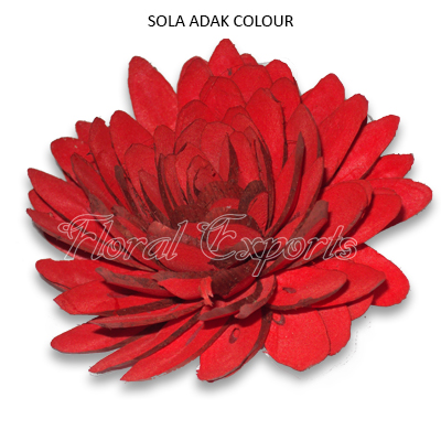 Sola Chips Flowers 10cm Colour