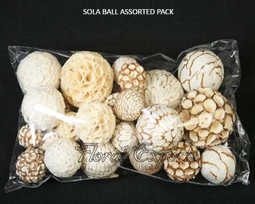 Sola Ball Assorted-Bowl Fillers Balls