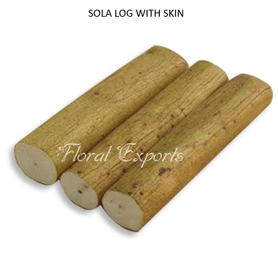 Sola Log With Skin-Wholesale Dried Potpourri Supplies