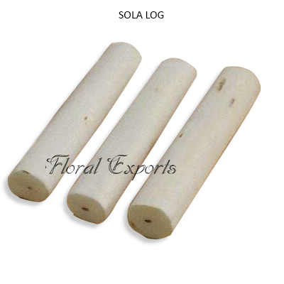 Sola Log Without Skin-Wholesale Dried Potpourri Supplies