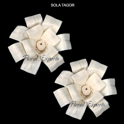 Shola Tagar-Bulk Shola Flowers