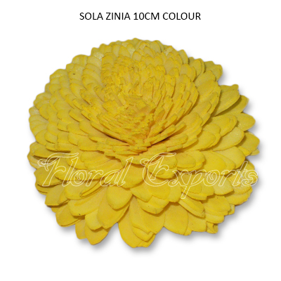 Sola Zinia 10cm-Bulk Sola Flowers