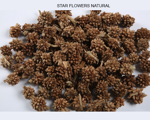 Star Flowers Natural - Dried Flowers Potpourri