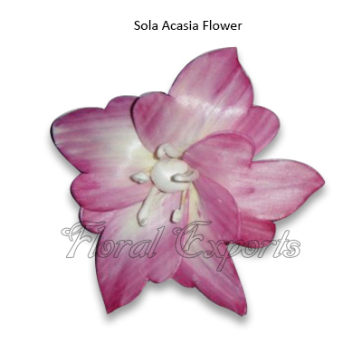 Sola Acasia Flowers - Sola Handmade Flowers