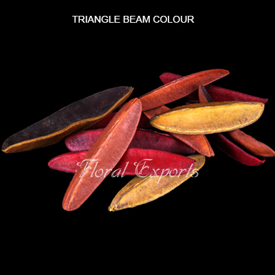 Triangle Beam Color - Pot pourri Ingridiants
