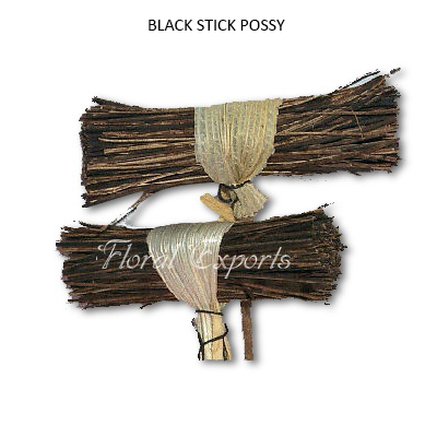 Black Palm Stick Possy on Stick