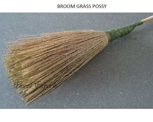 Broom Grass Possy on Stick