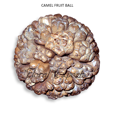 Camel Fruit Balls 10cm Natural - Decorative Balls Wholesale