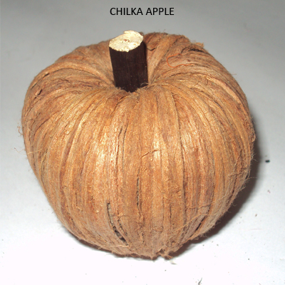 Chilka Apple Natural - Dried Flowers Wholesale