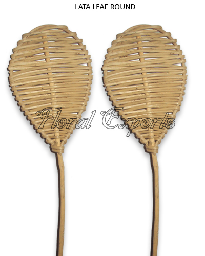 Lata Leaf Round on Stem - Wholesale Florists Suppliers