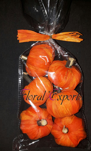 Maize Pumpkin Orange 6pc Bag - Dried Handmade Decorations