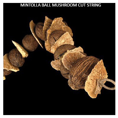 Mintolla Ball Mushroom String (Garland)