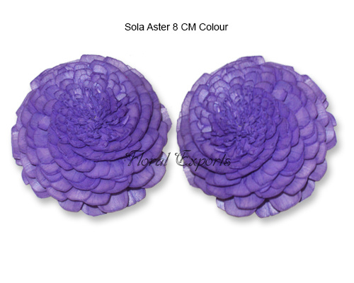 Sola Aster 8cm Colour - Sola Belli Wholesale