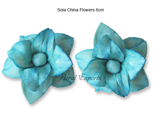 Sola China Flower 6cm Colour - Sola Flowers Wholesale