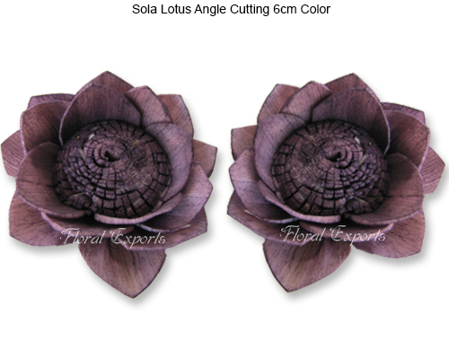 Sola Lotus Angle Cutting 6cm - Bulk Sola Flowers