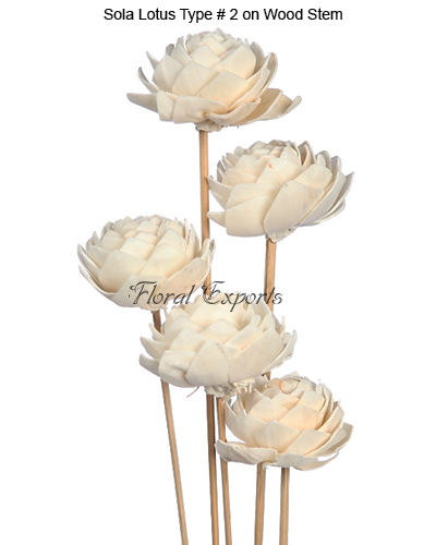 Sola Lotus Type 2 on Wood Stem - Sola Flowers Bulk Suppliers