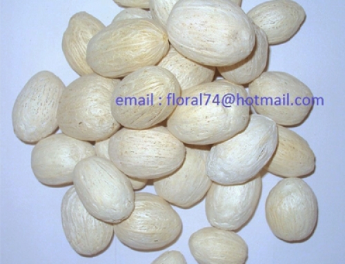 Amra Pods Bleach – Bulk Dried Flowers Potpourri Ingredients