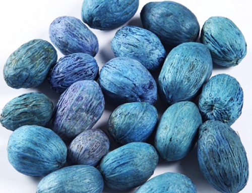 Amra Pods Color – Dried Flowers Potpourri Wholesaler