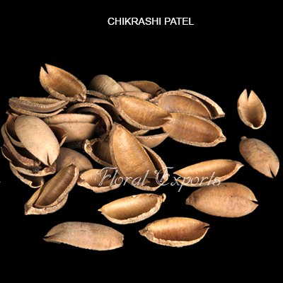 Chikrashi Petals Natural, Dried Potpourri Wholesaler