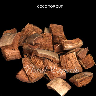 Coco Top Cut Natural - Bulk Dried Potpourri