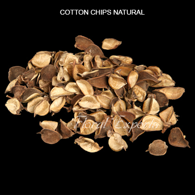Cotton Pods Chips Natural - Bulk Dried Potpourri Suppliers