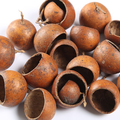 Golden Pods Cup Natural-Bulk Potpourri Flowers Suppliers