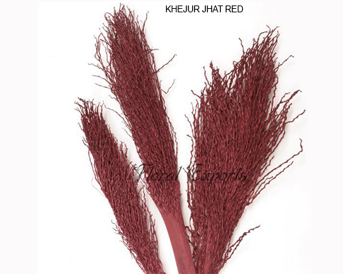 Khejur Jhar Red - Dried Ornamental Plants Wholesale Supplies