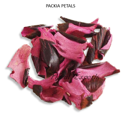 Packia Petals Color