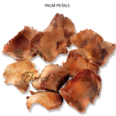 Palm Petals Natural-Wholesale Dried Botanicals