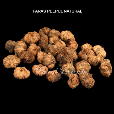 Paras Peepul Natural-Dried Botanicals Wholesale