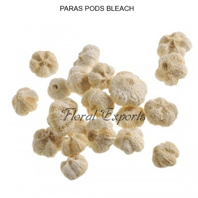 Paras Pods Bleach-Bulk Potpourri Sachets