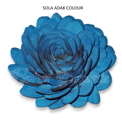 Sola Chips Flowers 10cm Colour