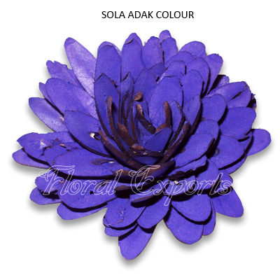Sola Chips Dahlia 10cm Colour