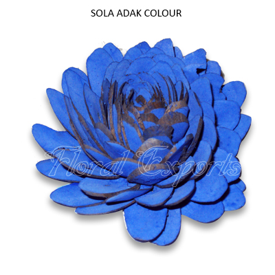 Sola Chips Dahlia Colour