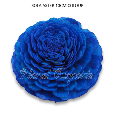 Sola Aster Flowers 10cm Colour