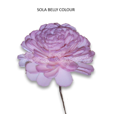Sola Belly 6cm Pink-Sola tapioca flowers