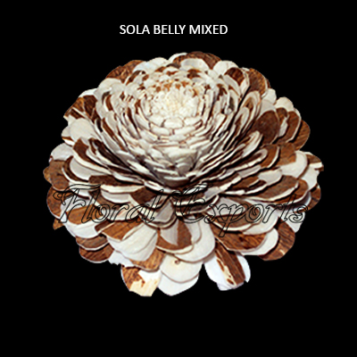 Sola Belly Flower Mix 10cm Natural