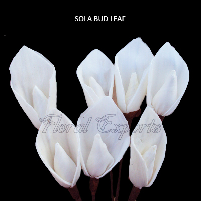 Sola Bud leaf with Stem - Sola Flower Stems