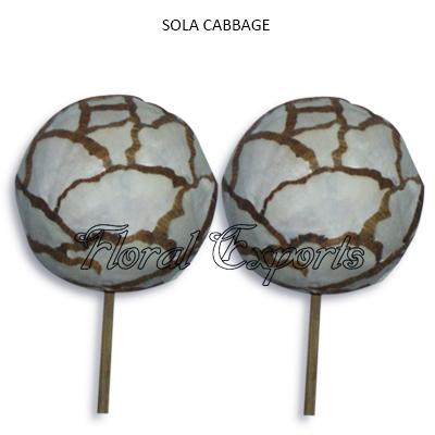 Sola Cabbage Ball-Sola Decoration Balls