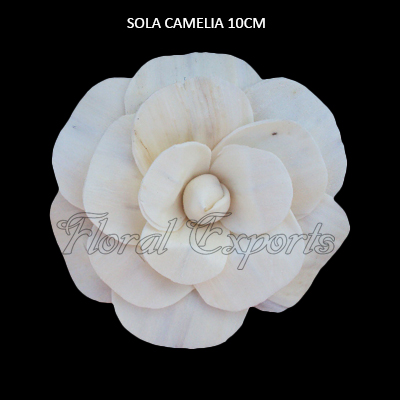 Sola Camelia Flowers 10cm Natural