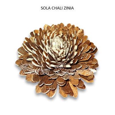 Sola Chali Zinia 10cm Natural