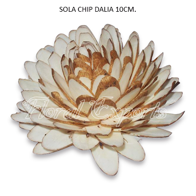 Sola Chips Dahlia 10cm Natural - FLORES DE SHOLA