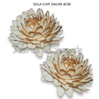 Shola Chips Dahlia 4cm Natural - Shola Fiori