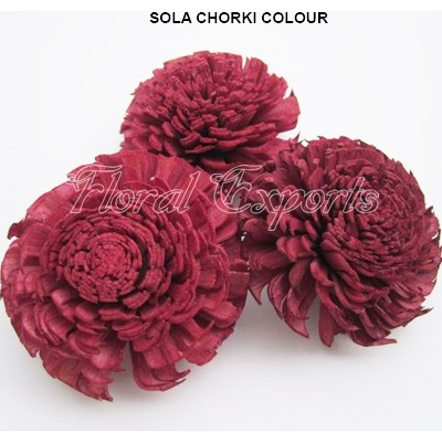 Sola Chorki 8cm Colour - Shola KWIATY