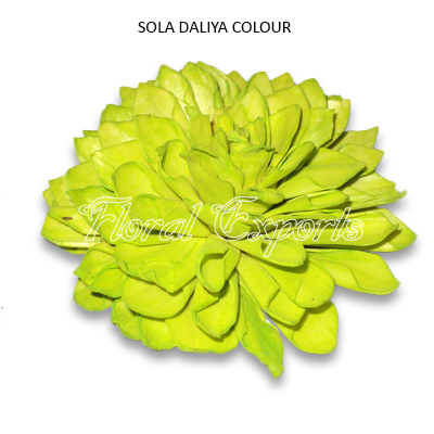 Sola Dahlia 10cm Colour - Bulk Sola Balsa Flowers