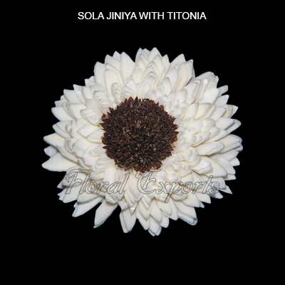 Sola Zinia with Titonia - Sola Eco Flowers